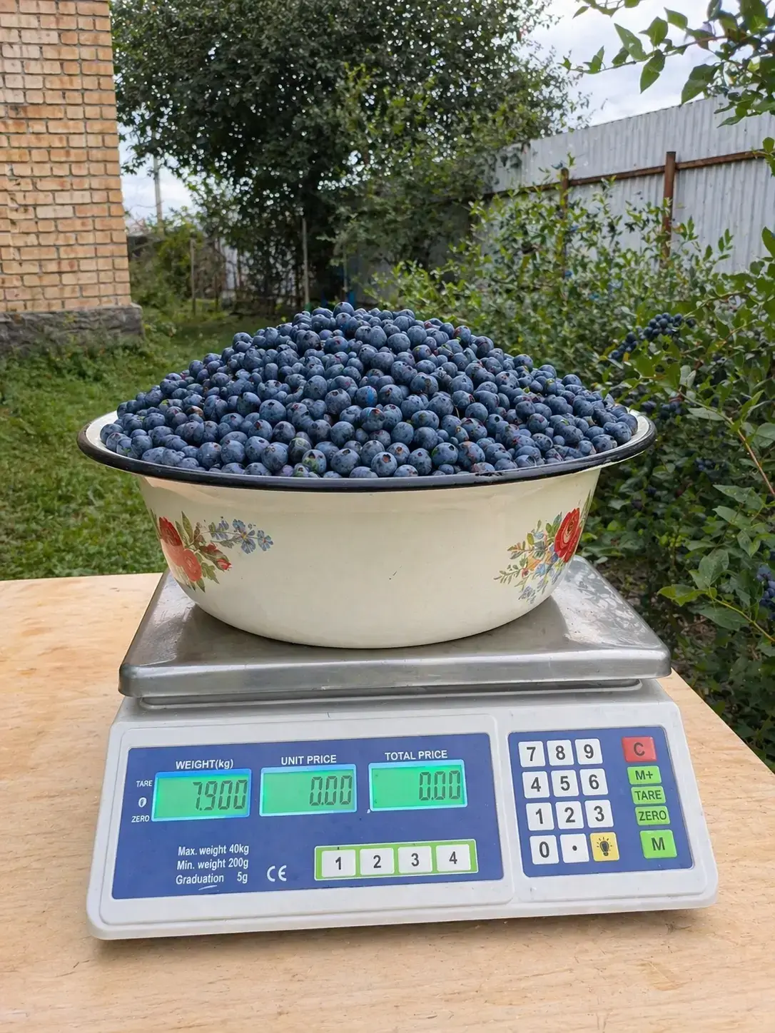 Лохина Мелана фото 2